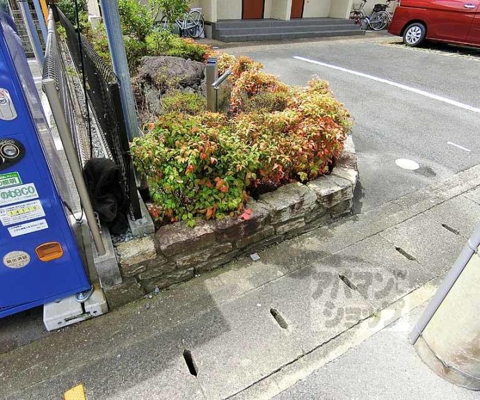 【ロイヤル　コントラーダ】間取