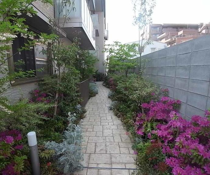 【メゾン東高田】間取