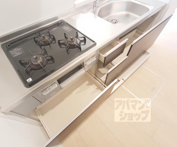 【satis vita】間取