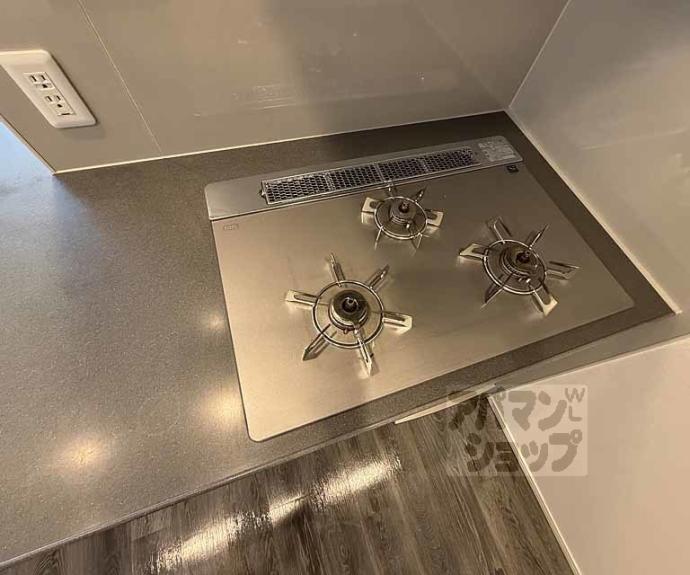 【ライオンズ嵯峨天龍寺若宮　西の邸　東の邸】間取