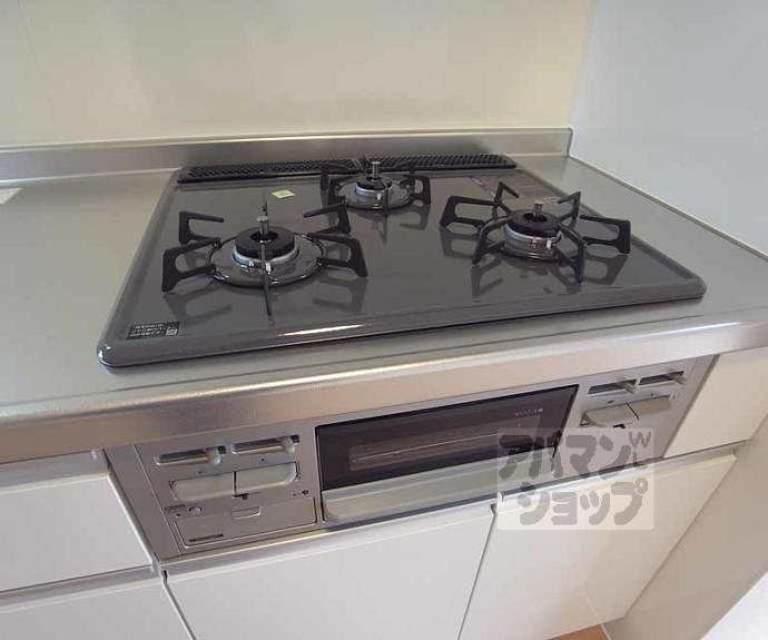 【ルピナス嵯峨Ａ棟】間取