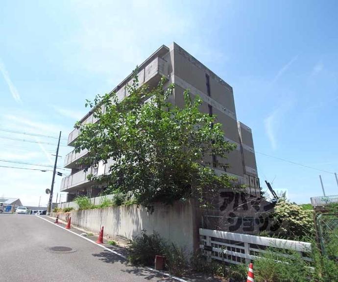 【レオパレスＲＸ淀】間取