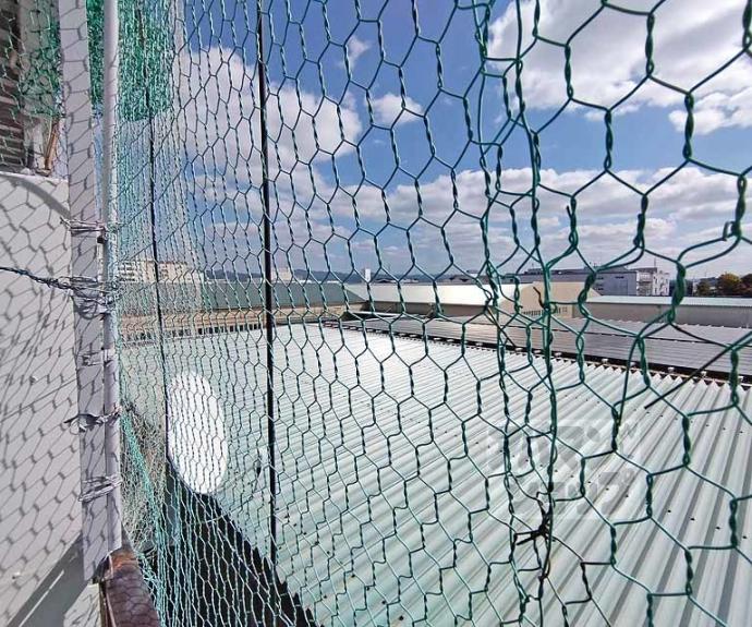 【辻村ビル】間取