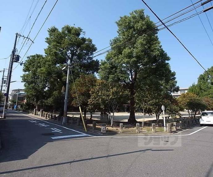 【アヴェニール深草】間取