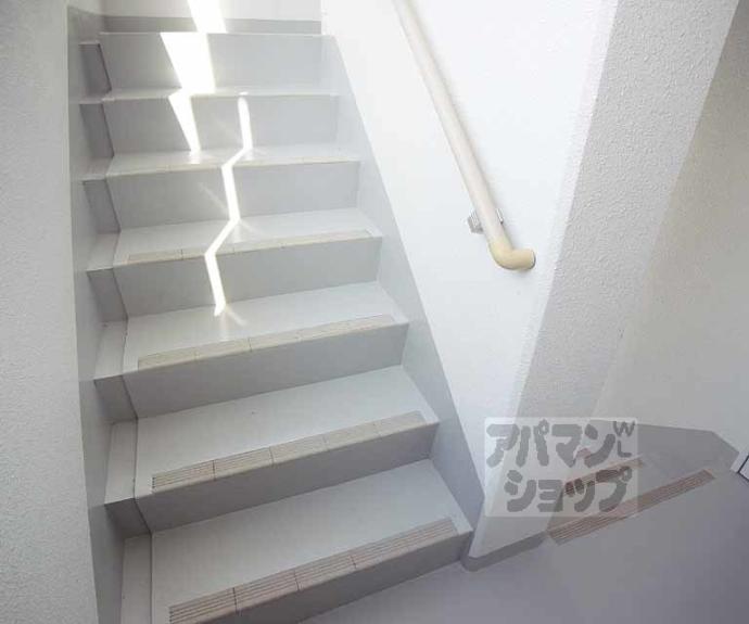 【メゾン・ヴィーナス】間取