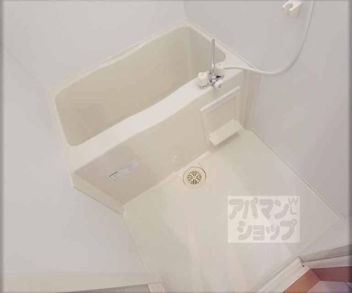 【メゾン・ヴィーナス】間取