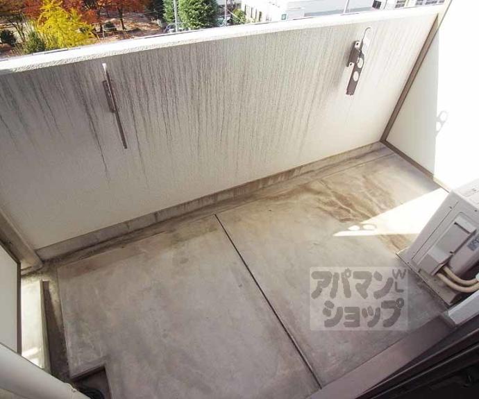 【メゾン・ヴィーナス】間取