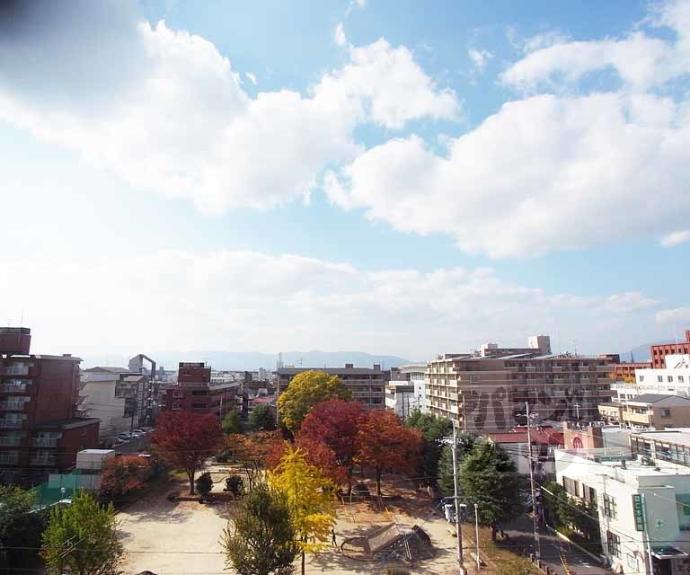 【メゾン・ヴィーナス】間取