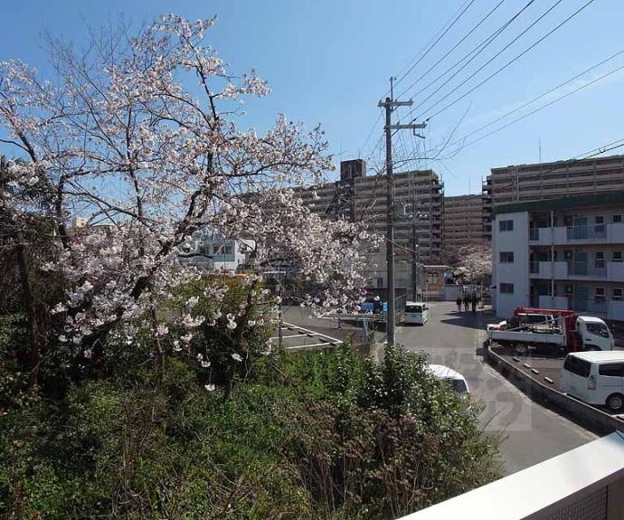 【エルメゾン向島】間取