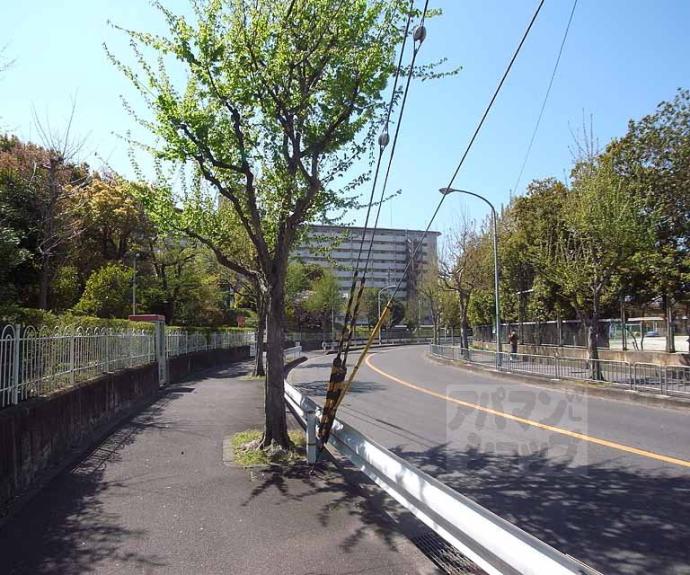 【向島ニュータウン 3街区 F棟】