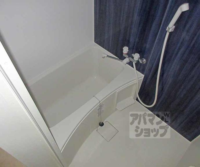 【CASA WOODⅢ】間取