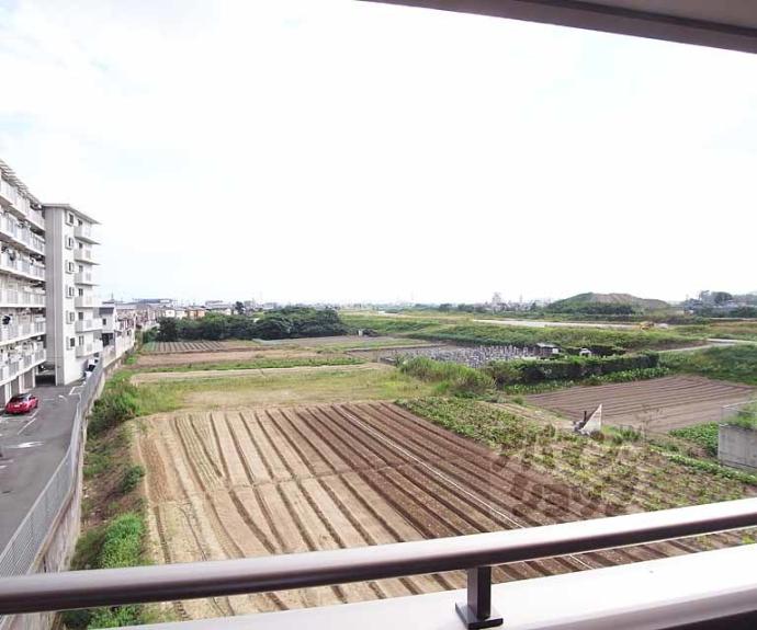 【エリシオン・レジデンスⅢ】間取