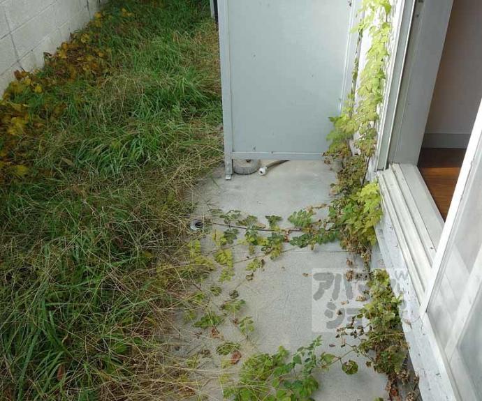 【山科第３】間取