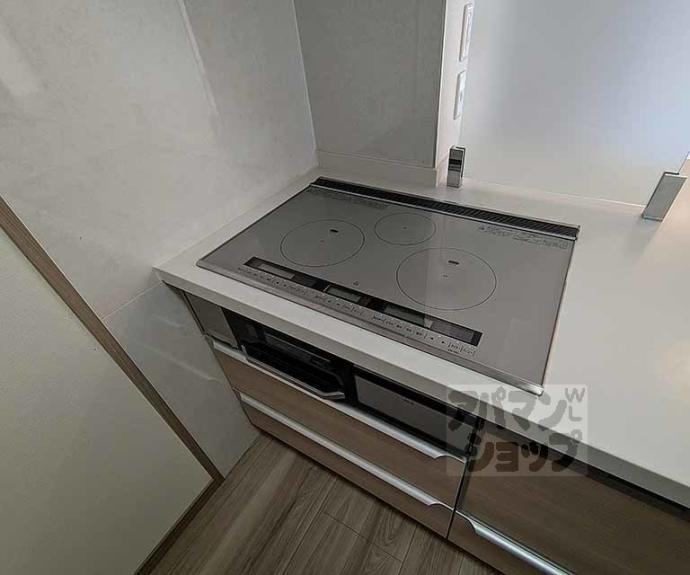 【パデシオン御池西ノ京グラン】間取