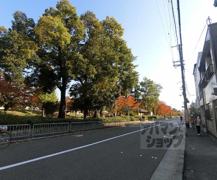 【シャーメゾン二条城西】間取