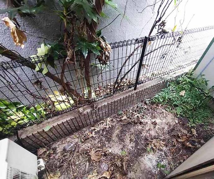 【アスターナ京の袋小路長屋】間取