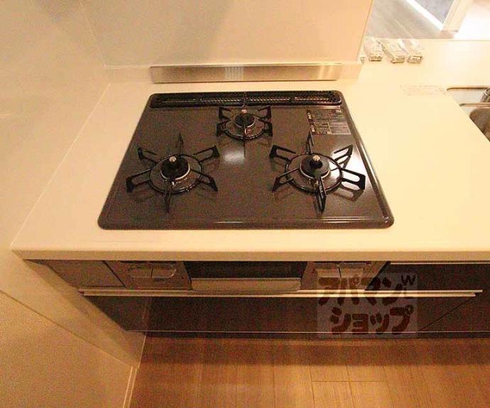 【シャーメゾン大宮五条】間取