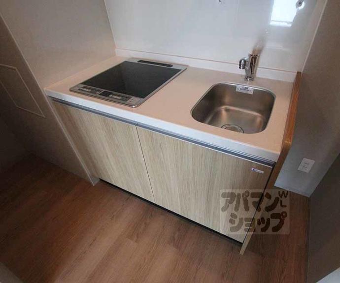 【ブーブーヴィラ二条】間取