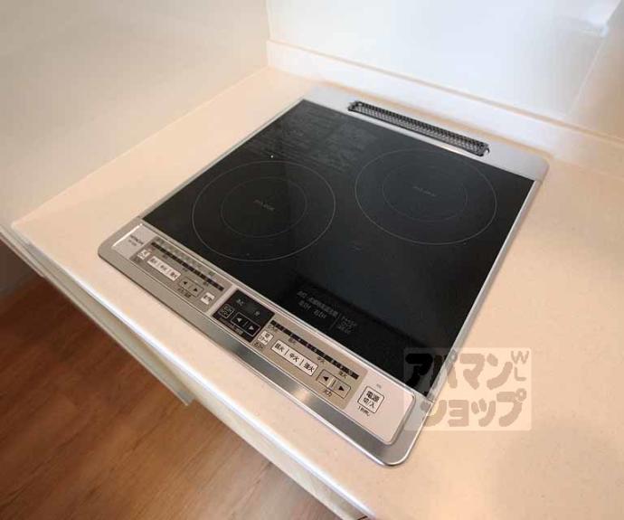 【ブーブーヴィラ二条】間取