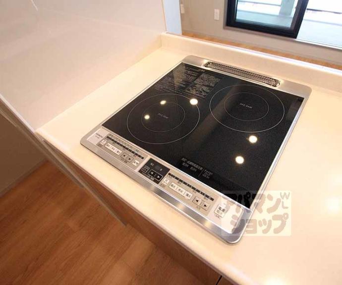 【ブーブーヴィラ二条】間取