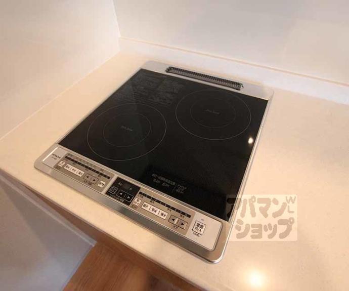 【ブーブーヴィラ二条】間取