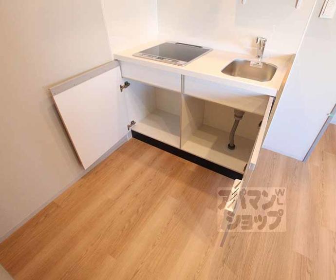 【ブーブーヴィラ二条】間取