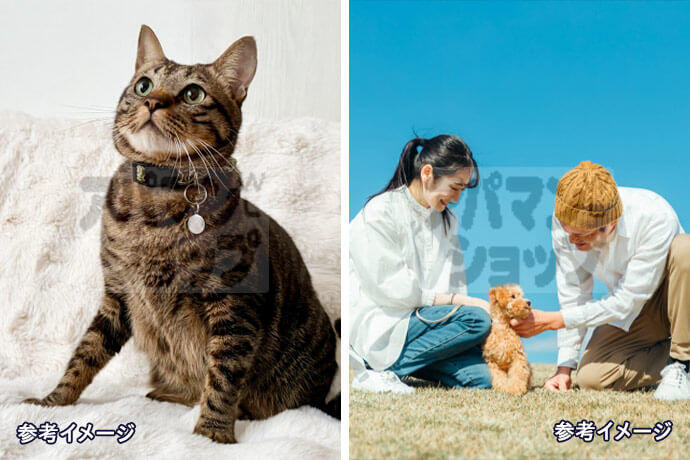 ペットと暮らせる新築シャーメゾン